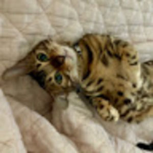 Meet your Posher, Sandra